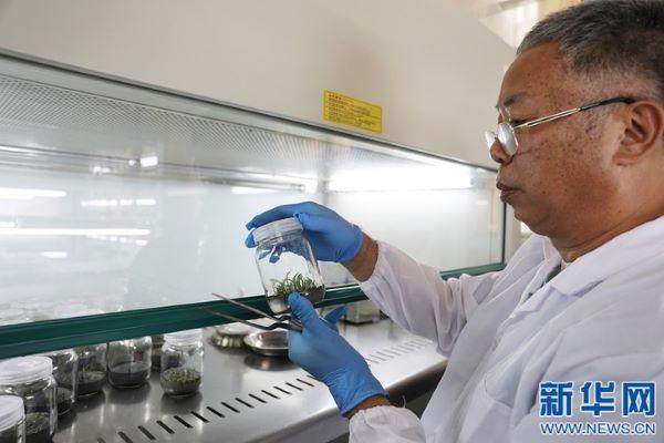 1983337fad564abd89749a87425bbe3f.jpg 4.jpg