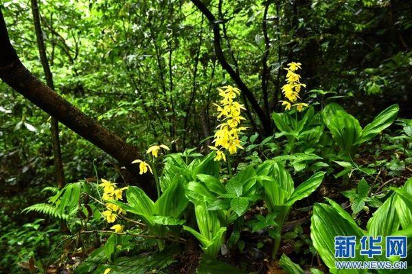 82da02b4f25b4bad8238a3e1042ec7a8.jpg 1.jpg